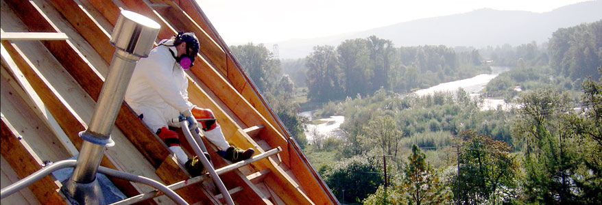 Pacific Environmental Group: Asbestos Abatement Experts